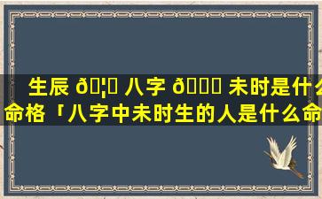 生辰 🦈 八字 🐝 未时是什么命格「八字中未时生的人是什么命运」